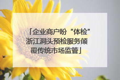 企业商户盼“体检” 浙江洞头预检服务颠覆传统市场监管