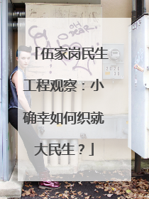 伍家岗民生工程观察：小确幸如何织就大民生？