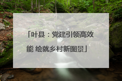 叶县：党建引领高效能 绘就乡村新图景