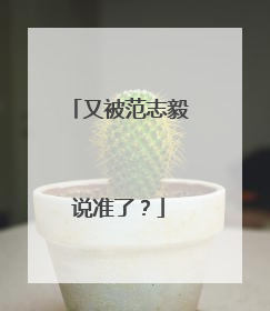 又被范志毅说准了？