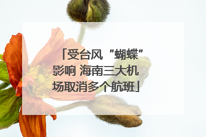 受台风“蝴蝶”影响 海南三大机场取消多个航班