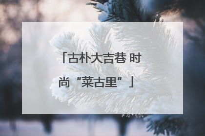 古朴大吉巷 时尚“菜古里”
