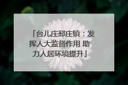 台儿庄邳庄镇：发挥人大监督作用 助力人居环境提升
