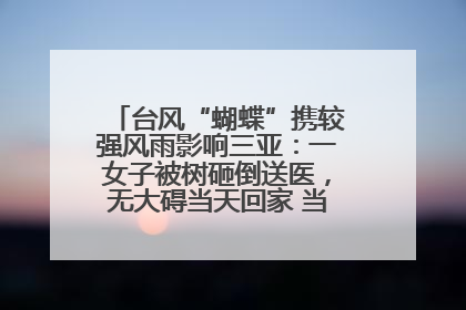 台风“蝴蝶”携较强风雨影响三亚：一女子被树砸倒送医，无大碍当天回家 当地已紧急清障