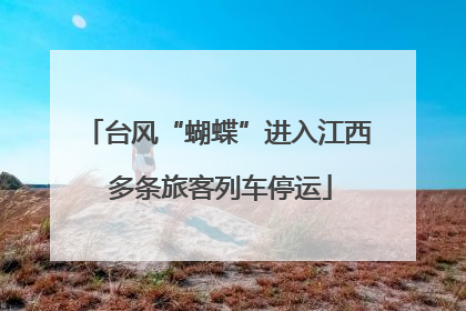 台风“蝴蝶”进入江西 多条旅客列车停运