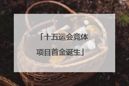 十五运会竞体项目首金诞生