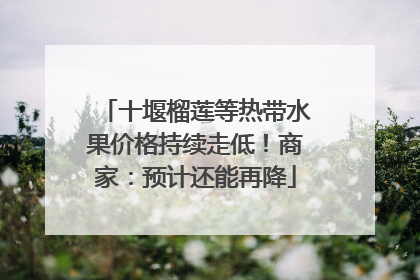 十堰榴莲等热带水果价格持续走低！商家：预计还能再降