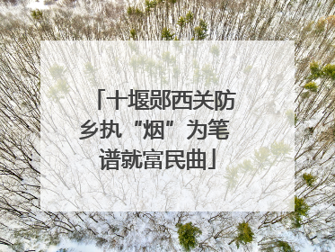 十堰郧西关防乡执“烟”为笔 谱就富民曲