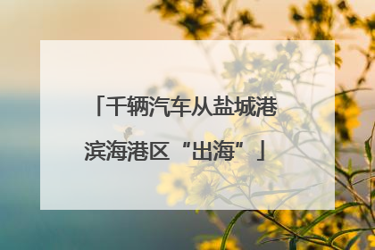 千辆汽车从盐城港滨海港区“出海”