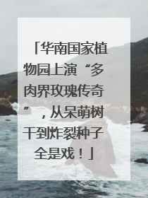 华南国家植物园上演“多肉界玫瑰传奇”，从呆萌树干到炸裂种子全是戏！