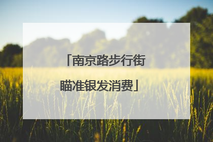 南京路步行街瞄准银发消费