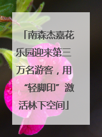 南森杰嘉花乐园迎来第三万名游客，用“轻脚印”激活林下空间