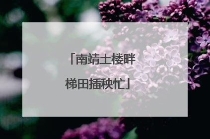 南靖土楼畔 梯田插秧忙