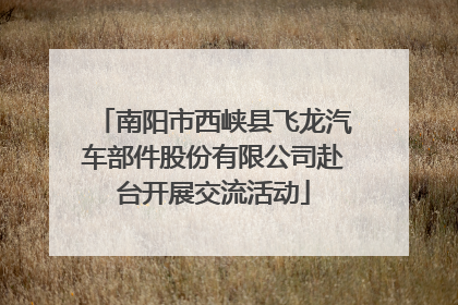 南阳市西峡县飞龙汽车部件股份有限公司赴台开展交流活动