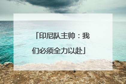 印尼队主帅：我们必须全力以赴