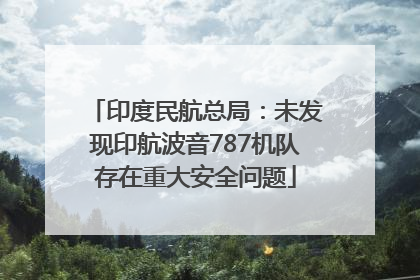 印度民航总局：未发现印航波音787机队存在重大安全问题