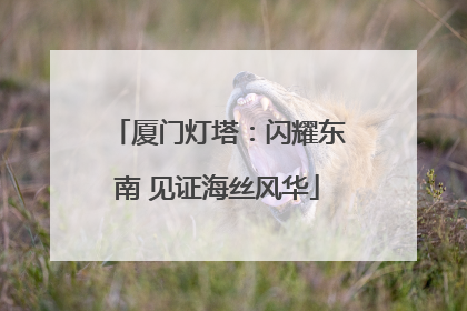 厦门灯塔：闪耀东南 见证海丝风华