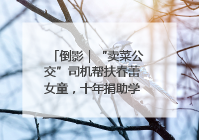 倒影｜“卖菜公交”司机帮扶春蕾女童，十年捐助学金2.5万元
