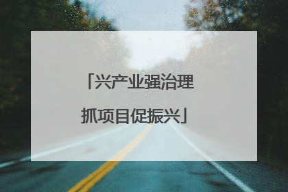 兴产业强治理 抓项目促振兴