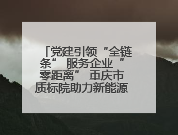 党建引领“全链条” 服务企业“零距离” 重庆市质标院助力新能源汽车产业链提升质量管理水平