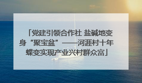 党建引领合作社 盐碱地变身“聚宝盆”——河涯村十年蝶变实现产业兴村群众富