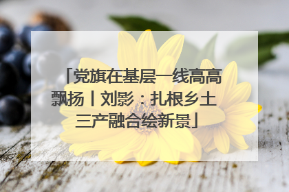 党旗在基层一线高高飘扬丨刘影：扎根乡土 三产融合绘新景