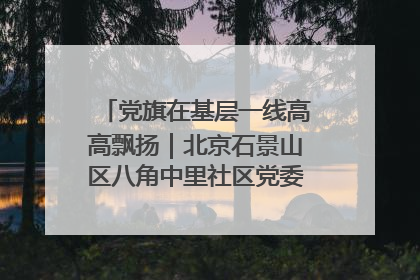 党旗在基层一线高高飘扬｜北京石景山区八角中里社区党委：用脚步丈量民生