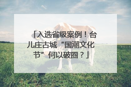 入选省级案例！台儿庄古城“国潮文化节”何以破圈？