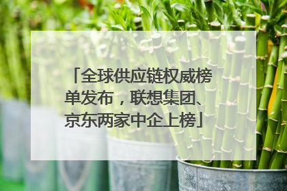 全球供应链权威榜单发布，联想集团、京东两家中企上榜