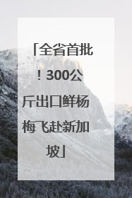全省首批！300公斤出口鲜杨梅飞赴新加坡