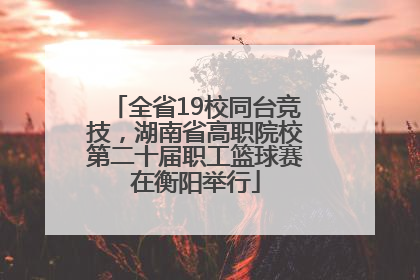 全省19校同台竞技，湖南省高职院校第二十届职工篮球赛在衡阳举行