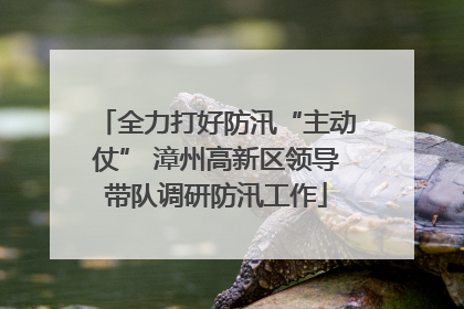 全力打好防汛“主动仗” 漳州高新区领导带队调研防汛工作