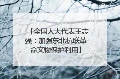全国人大代表王志强：加强东北抗联革命文物保护利用