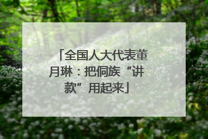 全国人大代表董月琳：把侗族“讲款”用起来