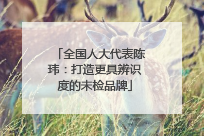 全国人大代表陈玮：打造更具辨识度的未检品牌