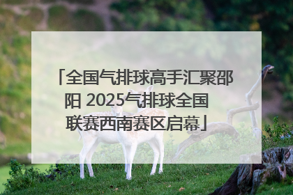 全国气排球高手汇聚邵阳 2025气排球全国联赛西南赛区启幕
