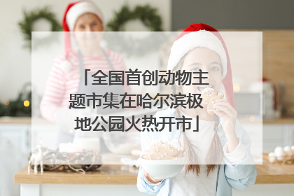全国首创动物主题市集在哈尔滨极地公园火热开市