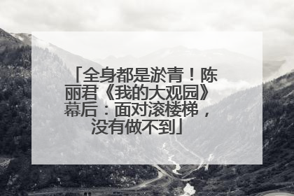 全身都是淤青！陈丽君《我的大观园》幕后：面对滚楼梯，没有做不到