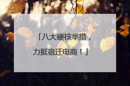 八大硬核举措，力挺宿迁电商！