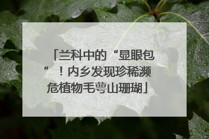 兰科中的“显眼包”！内乡发现珍稀濒危植物毛萼山珊瑚