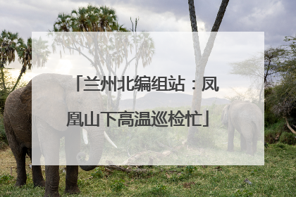 兰州北编组站：凤凰山下高温巡检忙