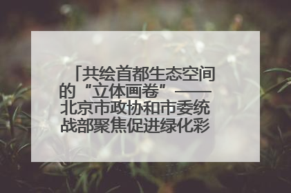 共绘首都生态空间的“立体画卷”——北京市政协和市委统战部聚焦促进绿化彩化美化生态空间建设联合协商议政