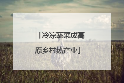 冷凉蔬菜成高原乡村热产业