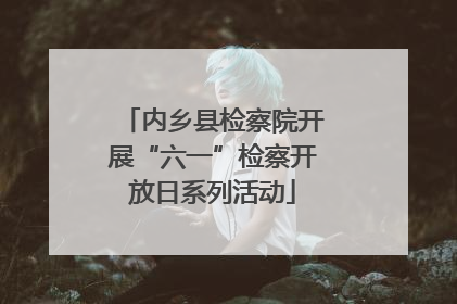 内乡县检察院开展“六一”检察开放日系列活动