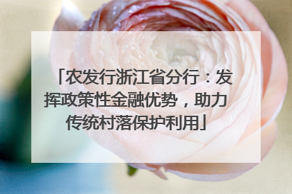 农发行浙江省分行：发挥政策性金融优势，助力传统村落保护利用