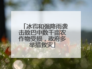 冰雹和强降雨袭击致巴中数千亩农作物受损，政府多举措救灾