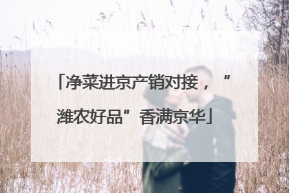 净菜进京产销对接，“潍农好品”香满京华