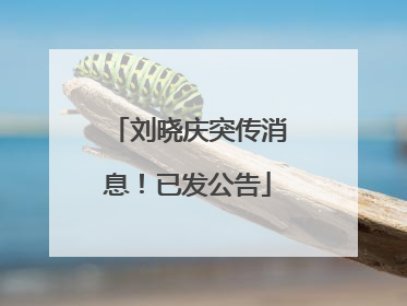 刘晓庆突传消息！已发公告