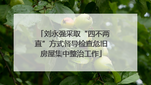 刘永强采取“四不两直”方式督导检查危旧房屋集中整治工作