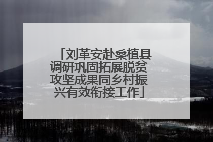 刘革安赴桑植县调研巩固拓展脱贫攻坚成果同乡村振兴有效衔接工作